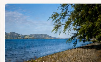 Parcela orilla de lago en Riñinahue