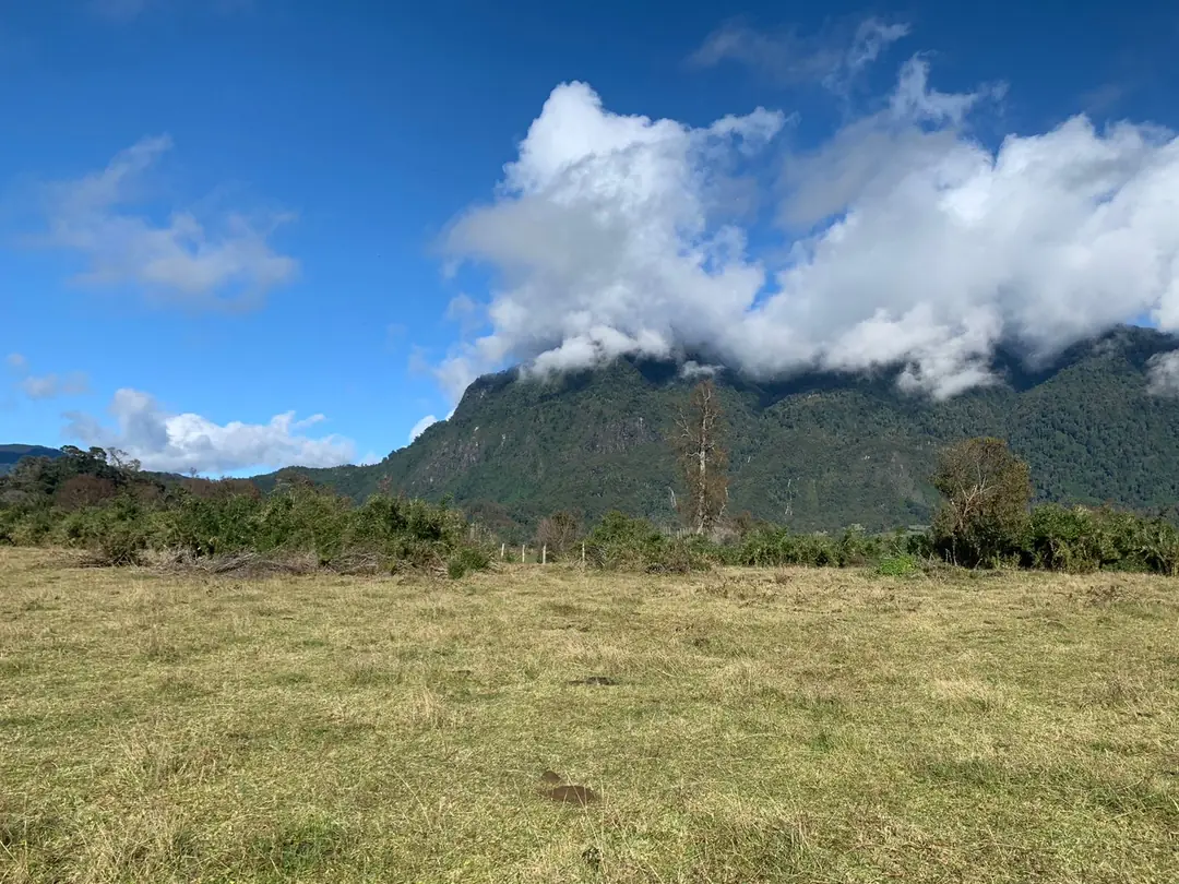 Parcela de 5.000 m² en Riñinahue en Riñinahue