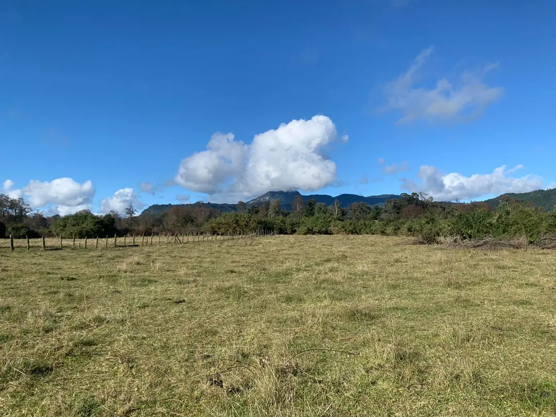 Parcela de 5.000 m² en Riñinahue - foto 2