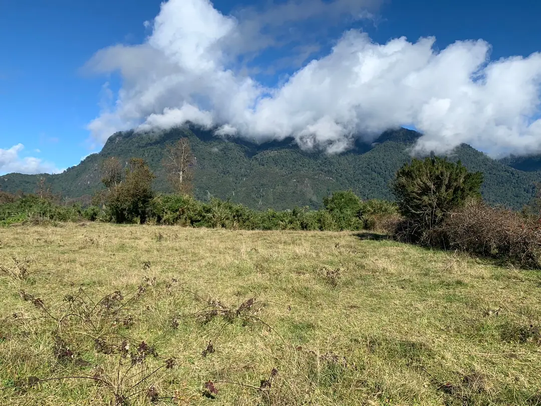 Parcela de 5.000 m² en Riñinahue - foto 3