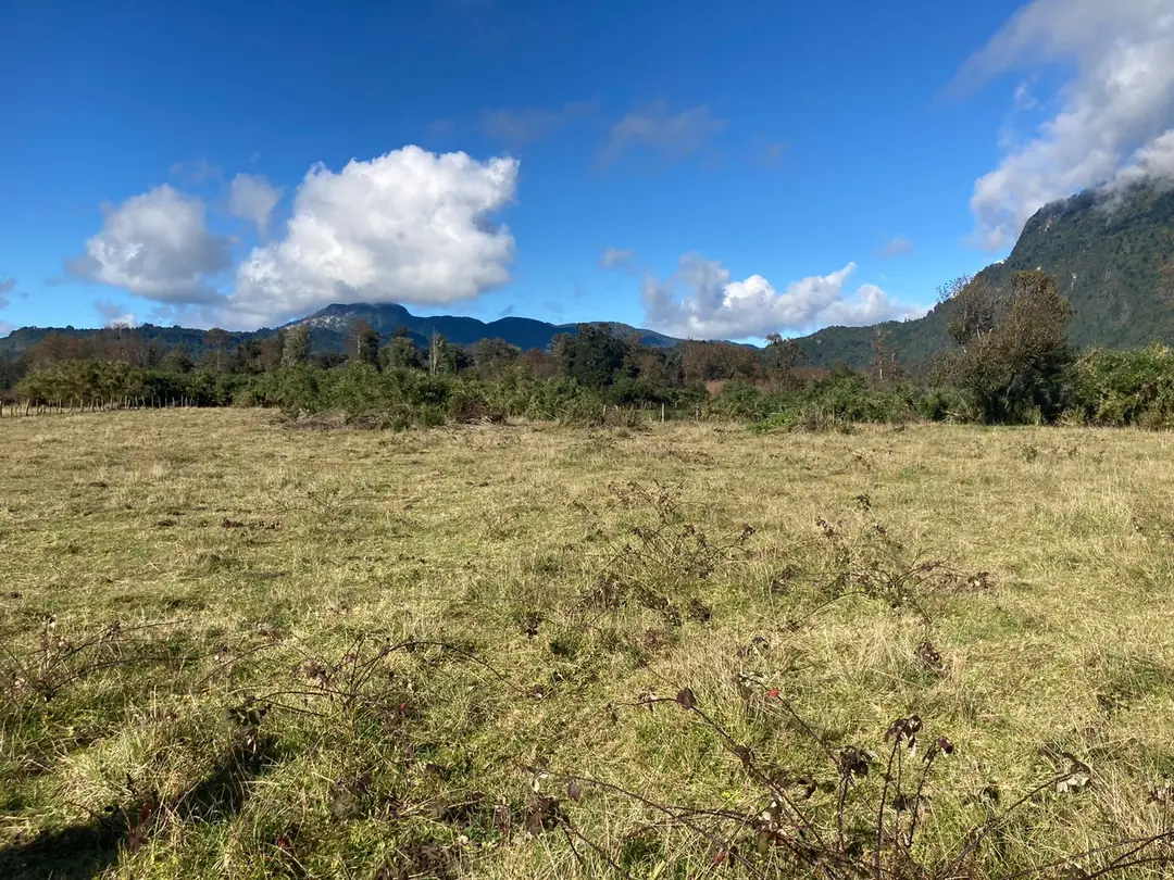 Parcela de 5.000 m² en Riñinahue - foto 4
