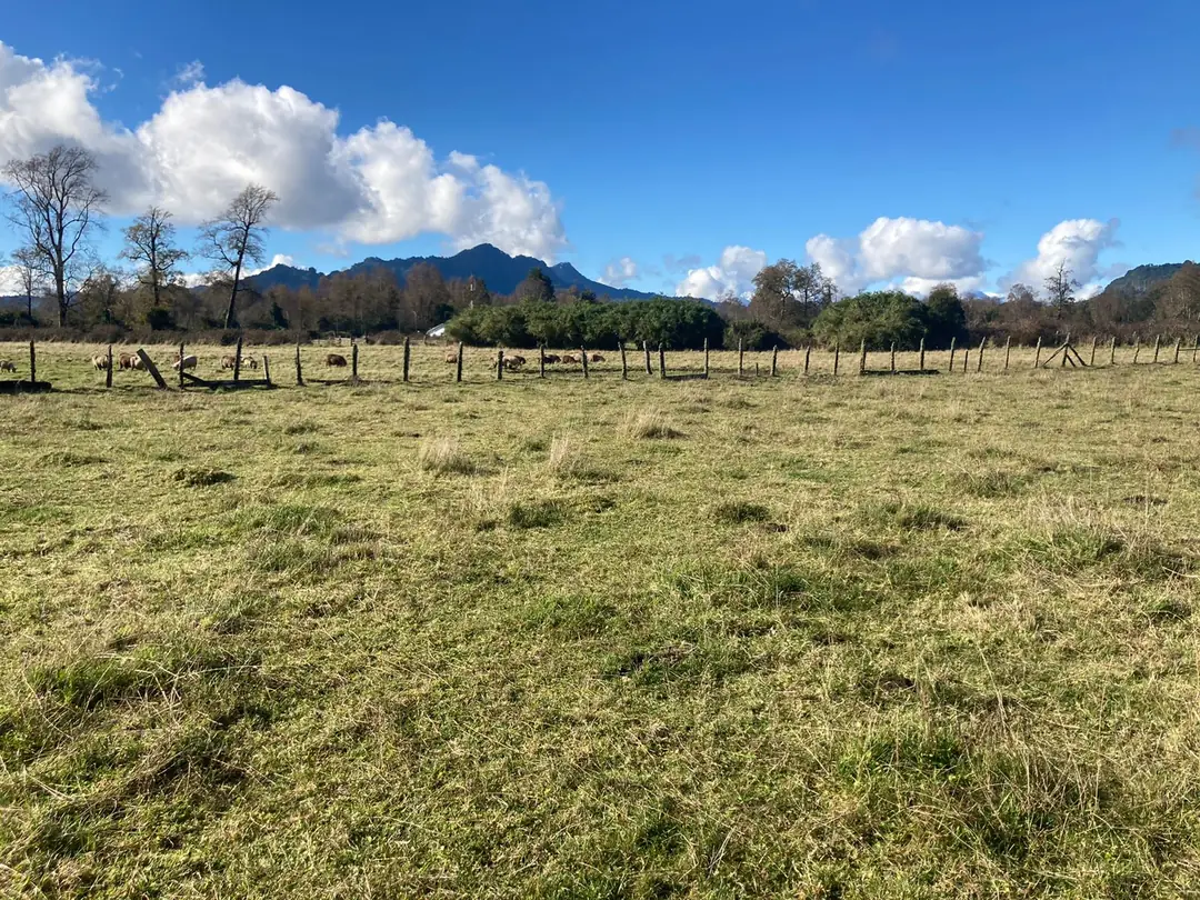 Parcela de 5.000 m² en Riñinahue - foto 5