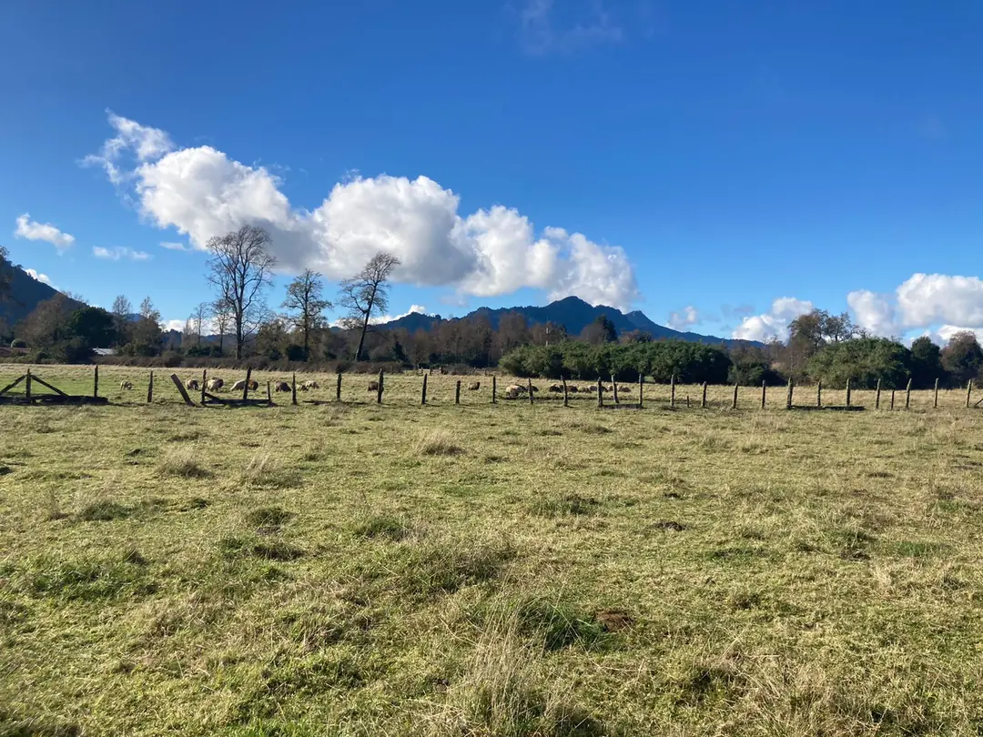 Parcela de 5.000 m² en Riñinahue - foto 7