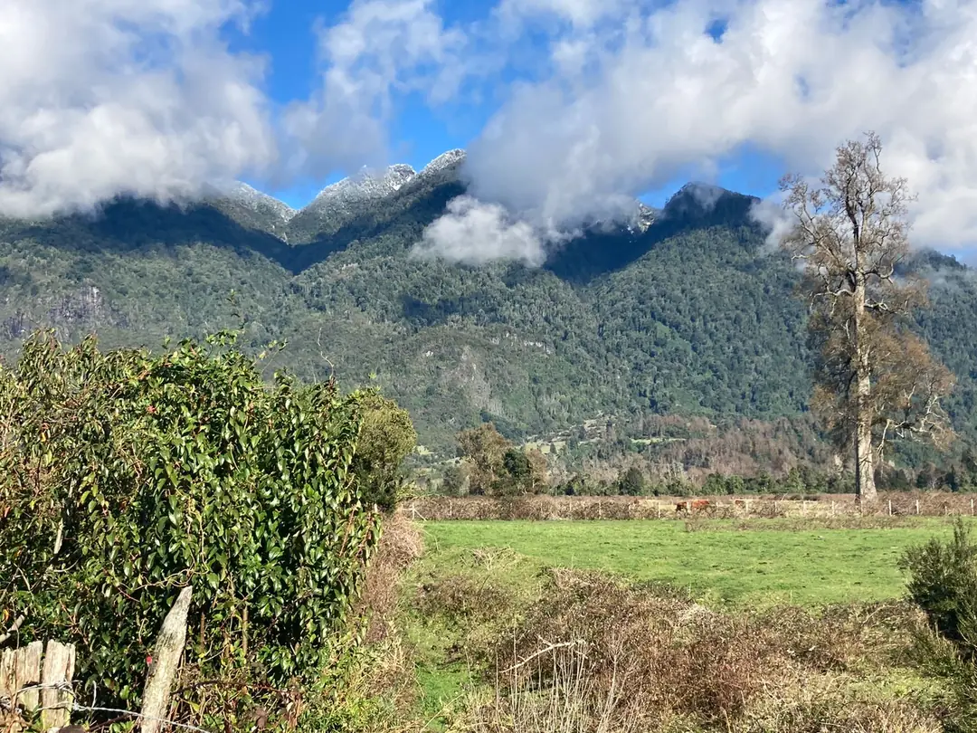 Parcela de 5.000 m² en Riñinahue - foto 8